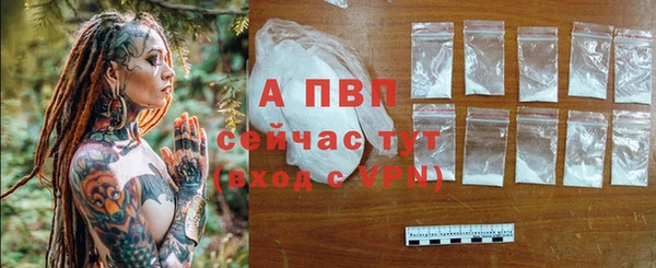 дурь Краснослободск
