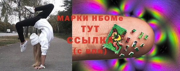 дурь Краснослободск
