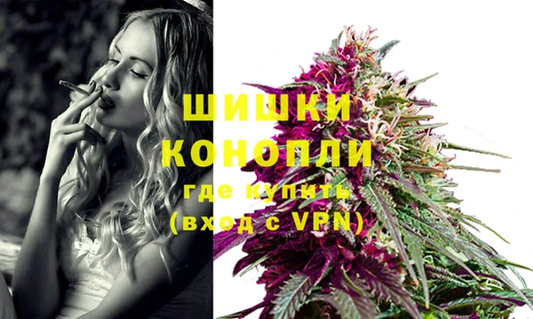 дурь Краснослободск