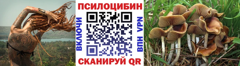 Галлюциногенные грибы GOLDEN TEACHER  blacksprut онион  Сызрань  купить  